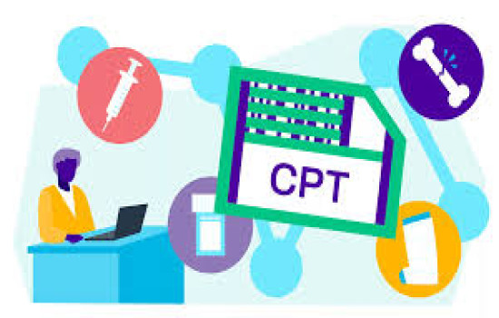 Split Shared in 2024 - What CPT Changes mean vs Medicare's rules!